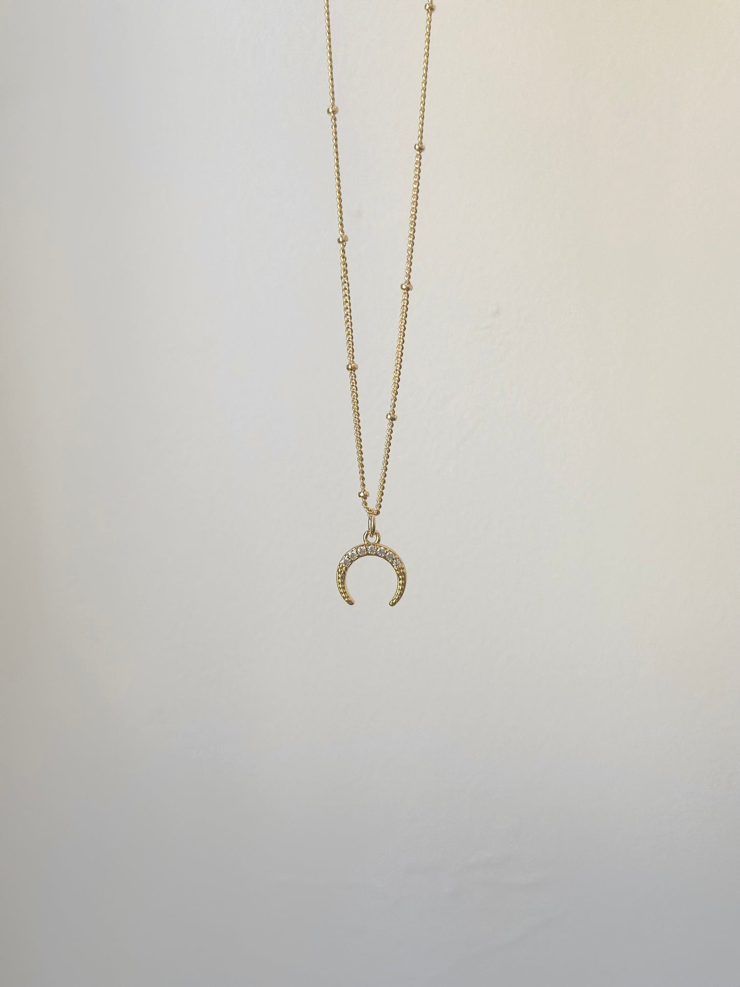 Horn Necklace