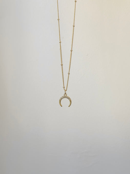 Horn Necklace